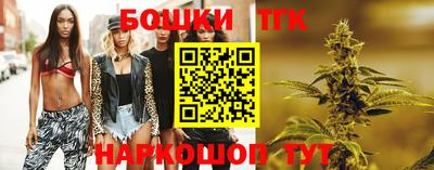 тгк Ефремов