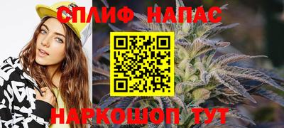 тгк Берёзовский