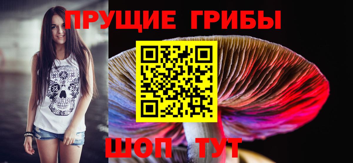Галлюциногенные грибы Psilocybe Заволжье