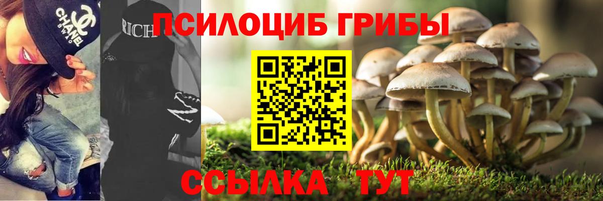 где купить наркоту  Псилоцибиновые грибы Magic Shrooms  Вход с VPN  Заволжье 